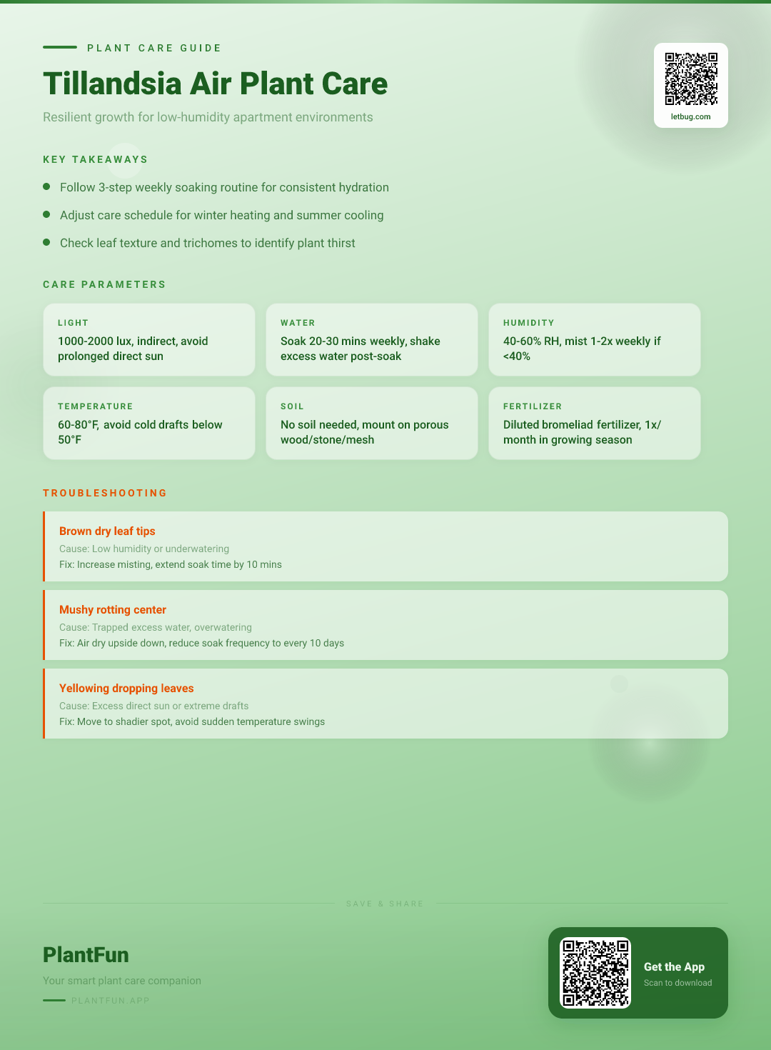 Tillandsia Air Plants in Low-Humidity Apartments: The Resilient Growth Guide You Need — Care Guide for indoor houseplants