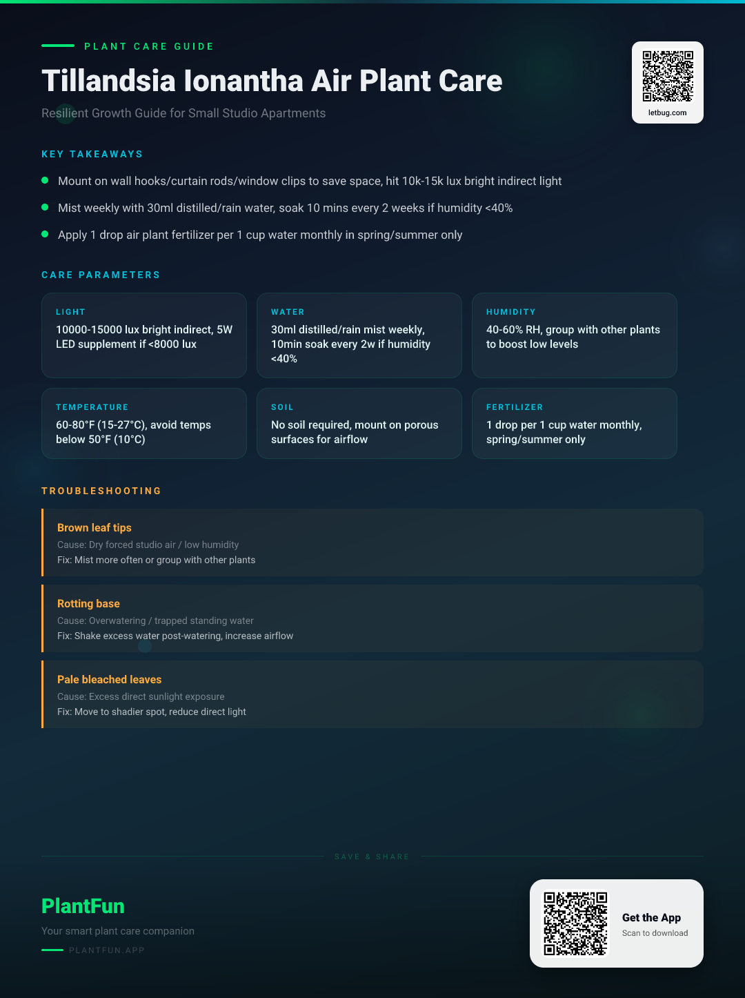 Tillandsia Ionantha Air Plant Care Checklist for Resilient Growth in Small Studio Apartments — Care Guide for indoor houseplants