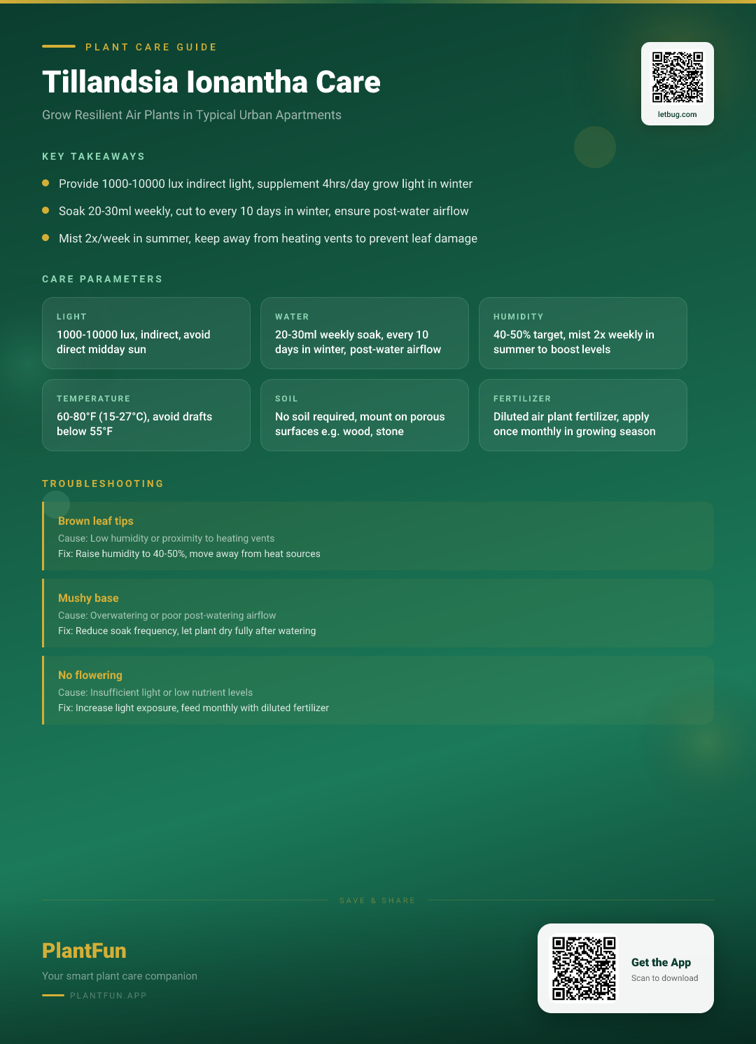 Tillandsia Ionantha Care Checklist: Grow Resilient Air Plants in Typical Urban Apartments — Care Guide for indoor houseplants