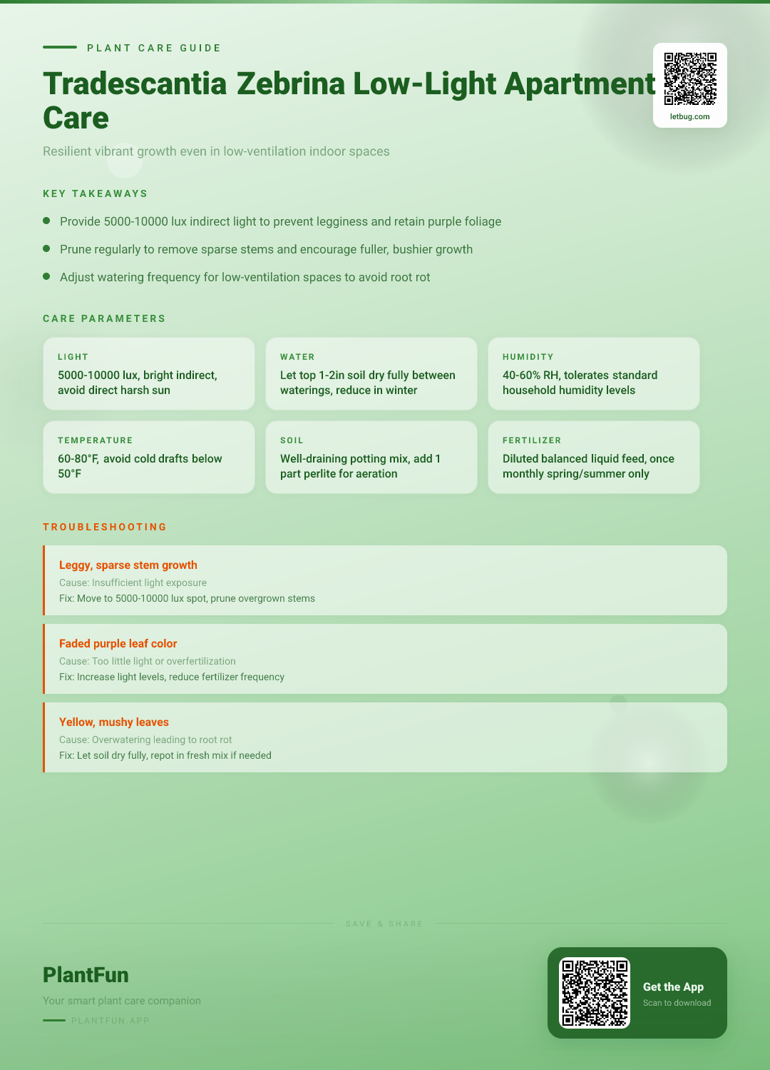 Tradescantia Zebrina in a Low-Light Apartment: The Complete Resilience Care Guide — Care Guide for indoor houseplants