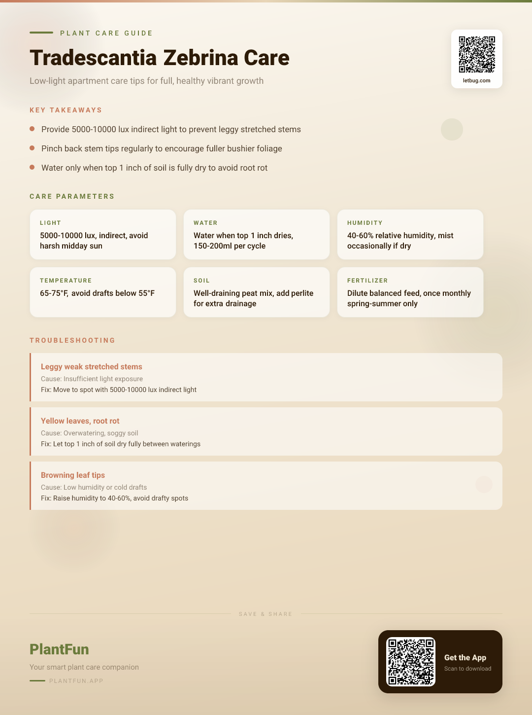 Tradescantia Zebrina in a Low-Light Apartment: 7 Practical Fixes for Leggy, Weak Stems — Care Guide for indoor houseplants