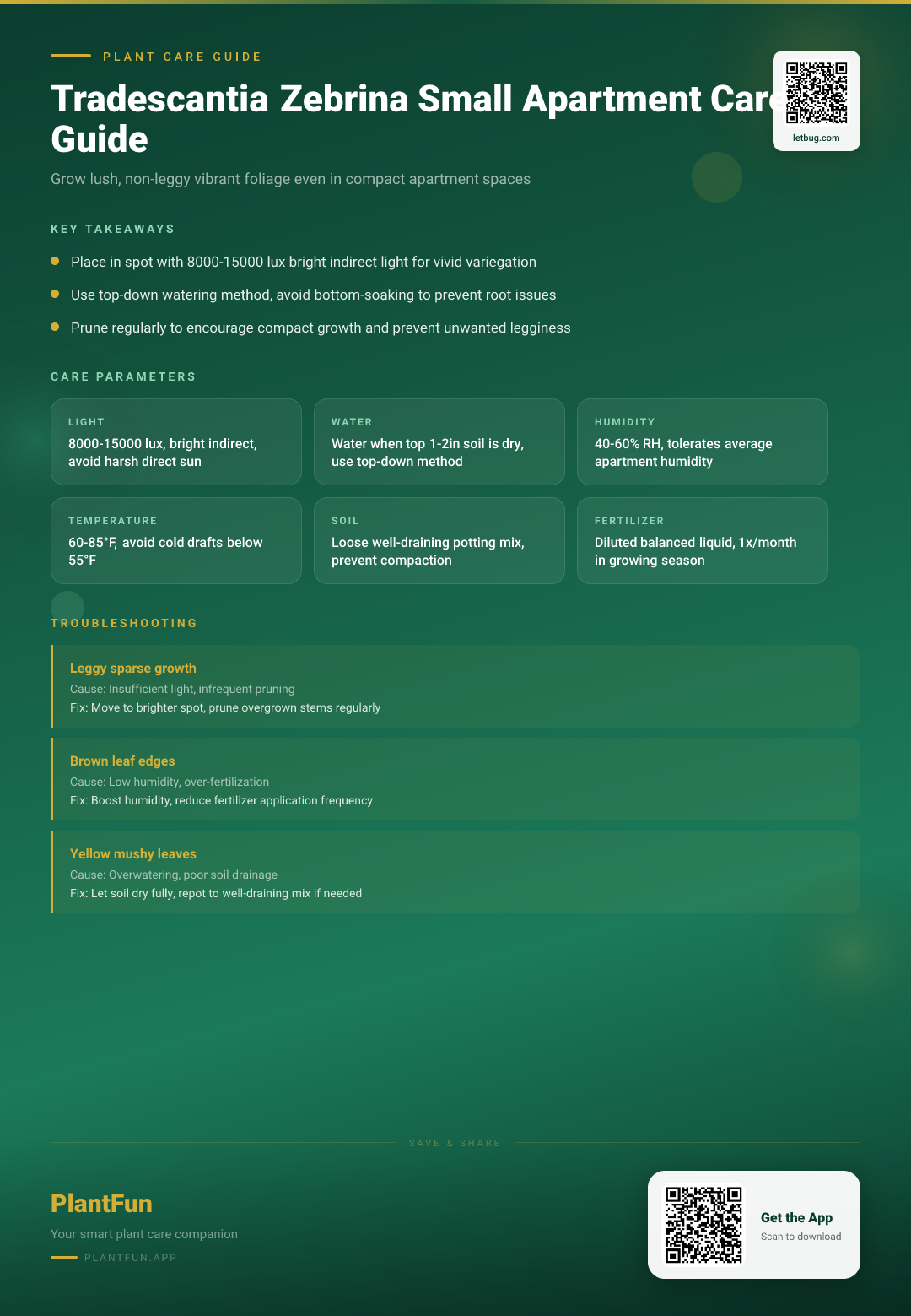 Tradescantia Zebrina in a Small Apartment: The Only Care Guide You’ll Ever Need — Care Guide for indoor houseplants