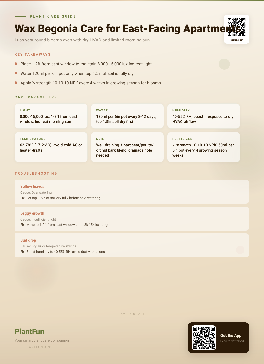 Wax Begonia Care Checklist: 9 Actionable Steps for Resilient Growth in East-Facing Apartments — Care Guide for indoor houseplants