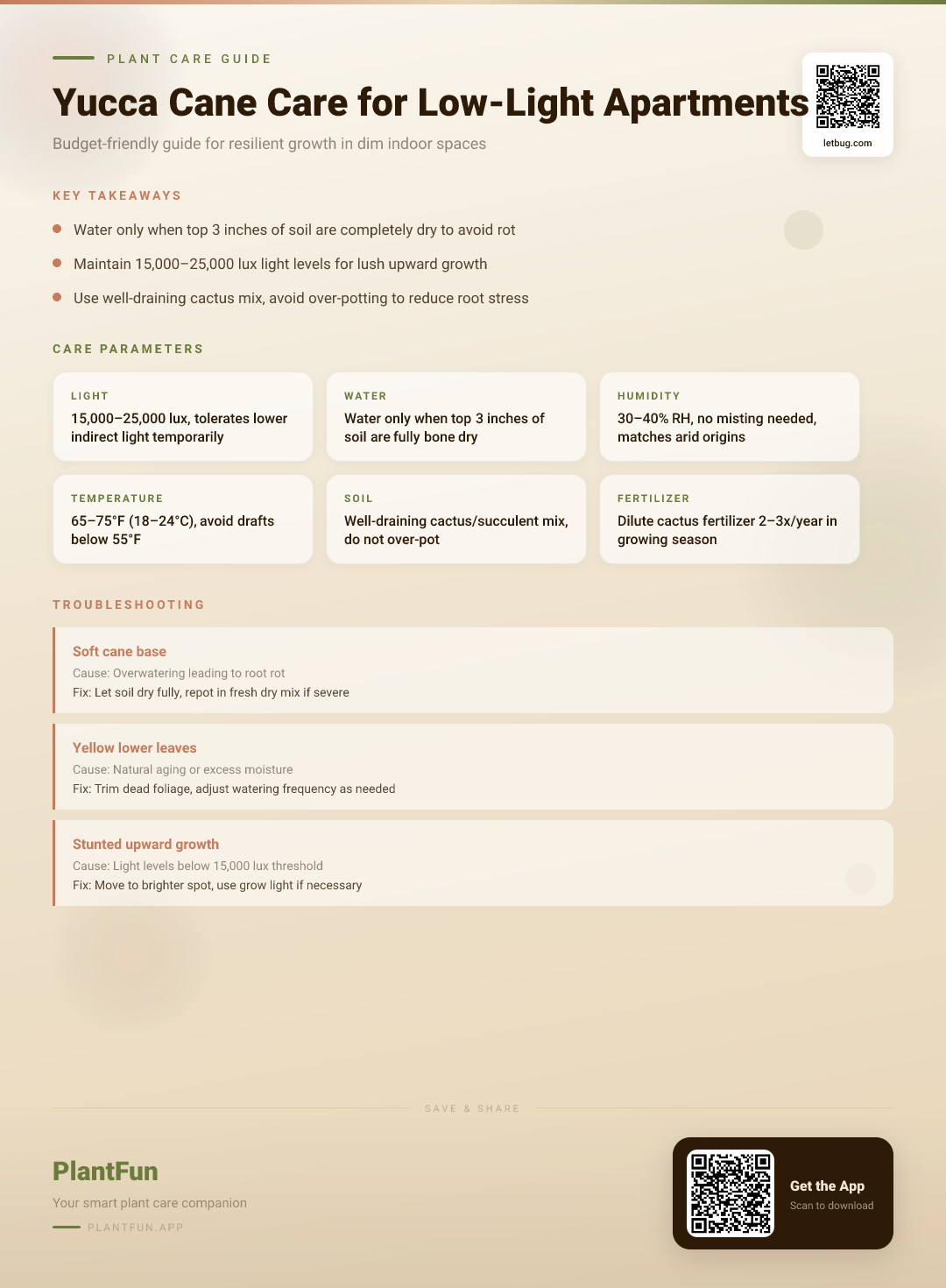 Yucca Cane Care in Low-Light Apartments: A Budget-Friendly Guide to Resilient Growth — Care Guide for indoor houseplants